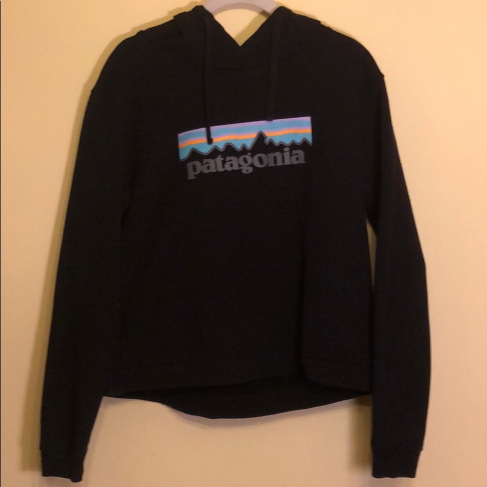 Black Hooded Patagonia Sweatshirt